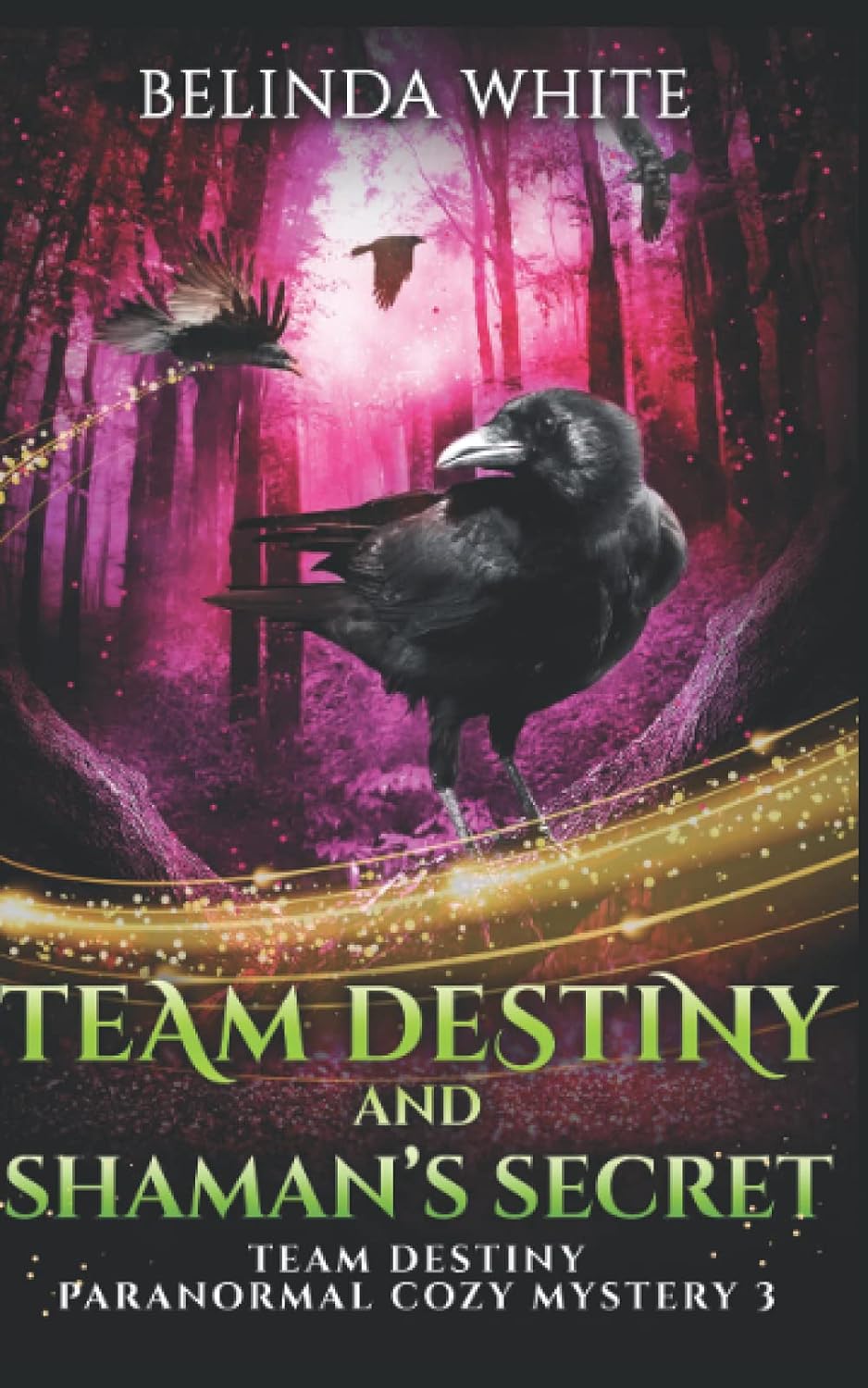 Team Destiny Paranormal Cozy Mystery Collection